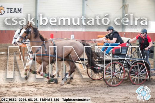 Mintakép 20260308-102