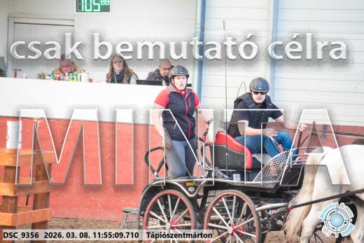 Mintakép 20260308-106