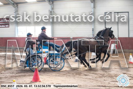20260307-133256-DSC_8557.jpg
