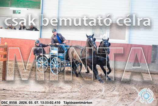 Mintakép 20260307-886