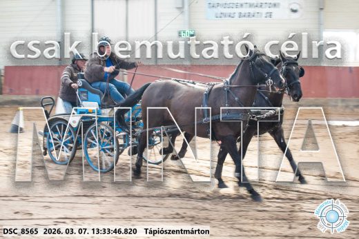 Mintakép 20260307-888