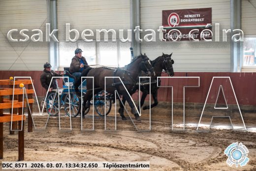 Mintakép 20260307-892