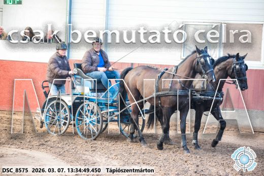 Mintakép 20260307-895
