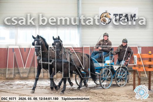 Mintakép 20260308-110
