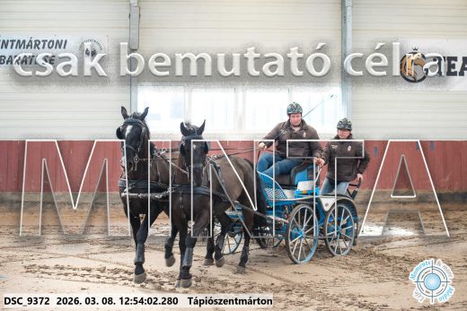 Mintakép 20260308-111