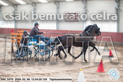 Mintakép 20260308-114