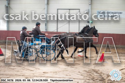 Mintakép 20260308-115