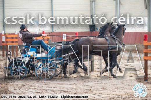 Mintakép 20260308-117