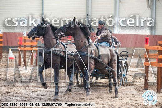 Mintakép 20260308-118