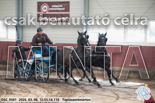 Mintakép 20260308-119