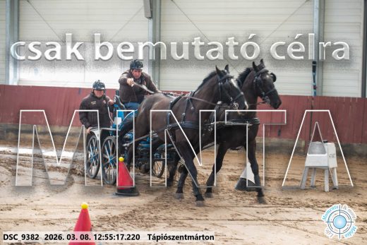 Mintakép 20260308-120