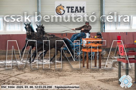 Mintakép 20260308-121