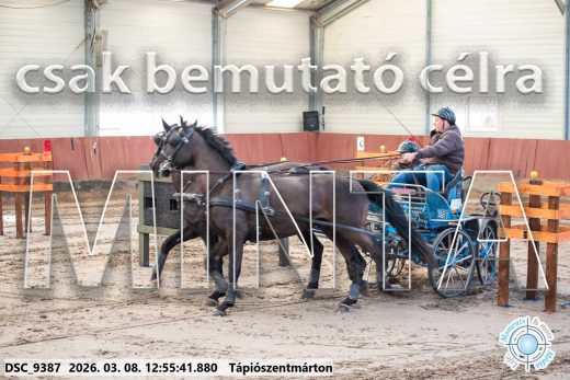 Mintakép 20260308-123