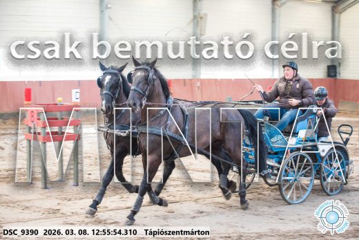 Mintakép 20260308-124