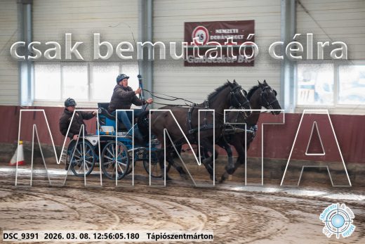 Mintakép 20260308-125