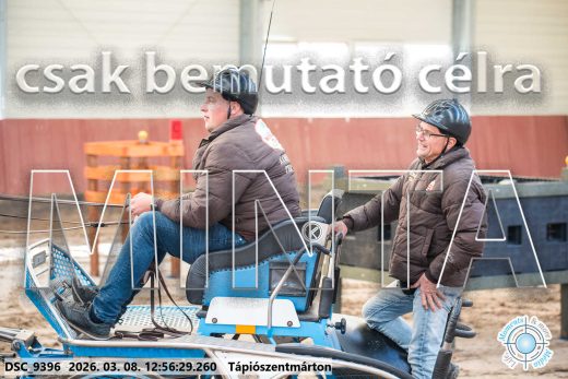 Mintakép 20260308-128