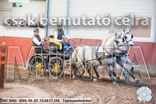 Mintakép 20260307-902