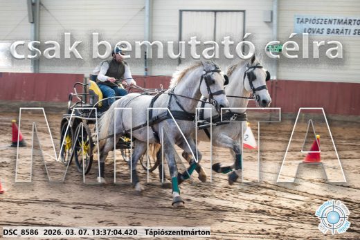 Mintakép 20260307-904