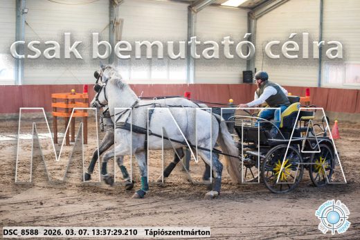 Mintakép 20260307-905
