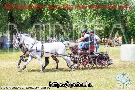 Mintakép 20260613-742