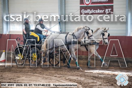 Mintakép 20260307-908