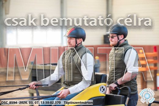 Mintakép 20260307-911