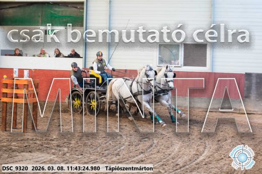 Mintakép 20260308-133