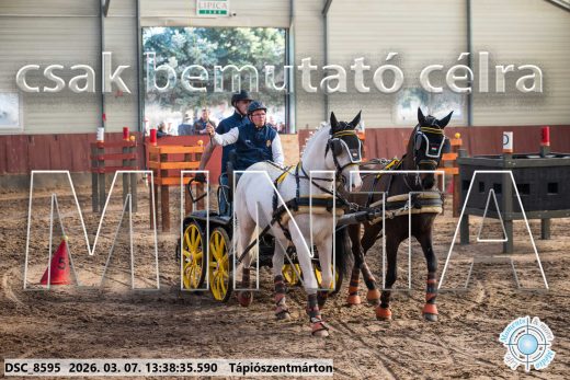 20260307-133835-DSC_8595.jpg