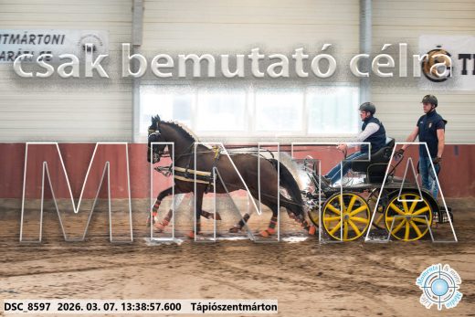 20260307-133857-DSC_8597.jpg