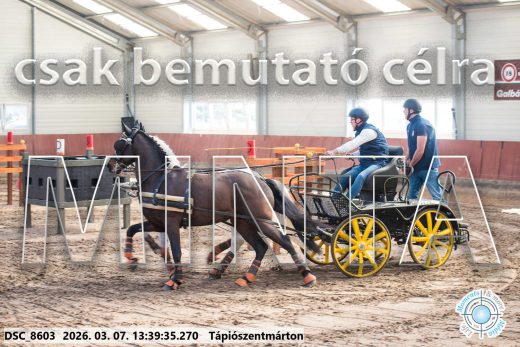 Mintakép 20260307-919