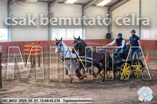Mintakép 20260307-924