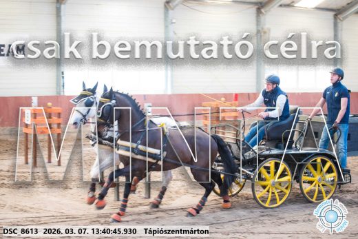 Mintakép 20260307-925