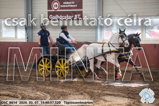 Mintakép 20260307-926