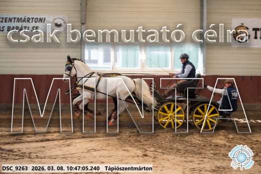 Mintakép 20260308-136