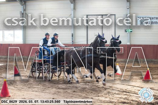 Mintakép 20260307-938