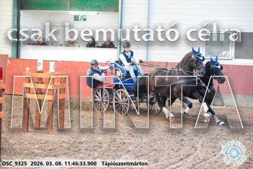Mintakép 20260308-144