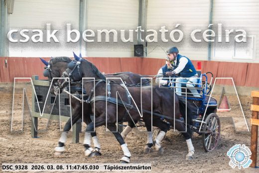 Mintakép 20260308-147