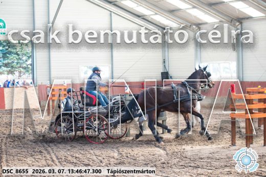 Mintakép 20260307-956