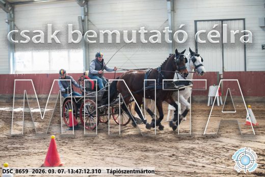 Mintakép 20260307-959