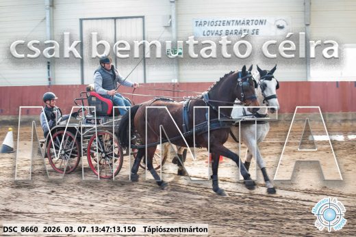 Mintakép 20260307-960