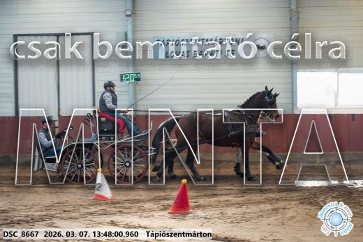 Mintakép 20260307-965
