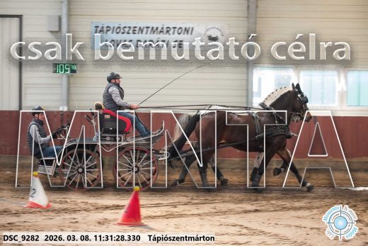 Mintakép 20260308-152
