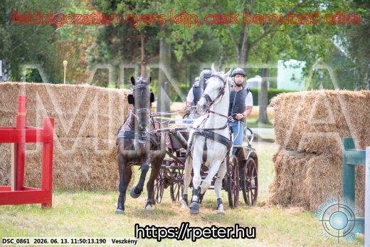 Mintakép 20260613-751