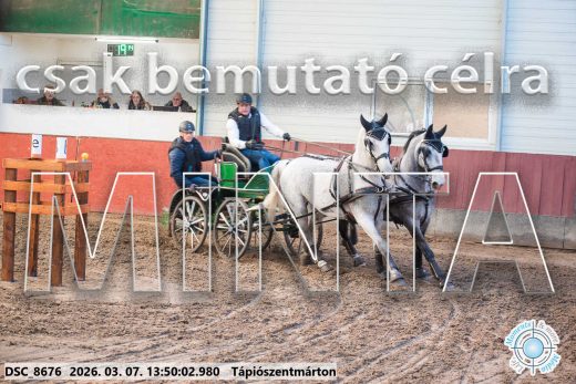 Mintakép 20260307-973