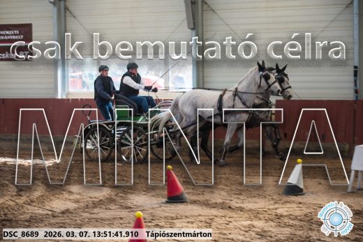 Mintakép 20260307-984