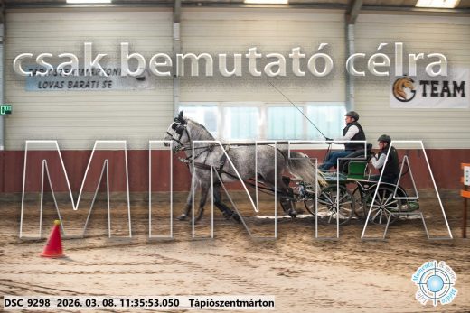Mintakép 20260308-155