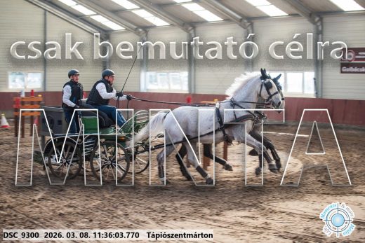 Mintakép 20260308-157