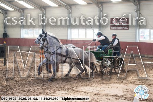 Mintakép 20260308-159