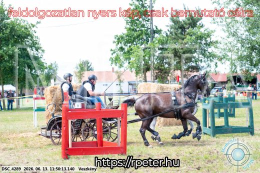 Mintakép 20260613-753