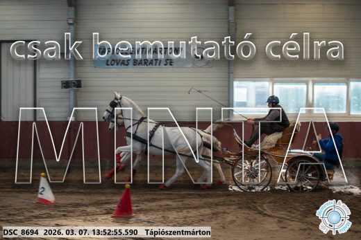 Mintakép 20260307-988